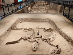 -洛阳周王城天子驾六博物馆