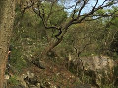 -清源山风景区