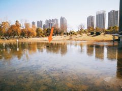 -安徽大学(磬苑校区)