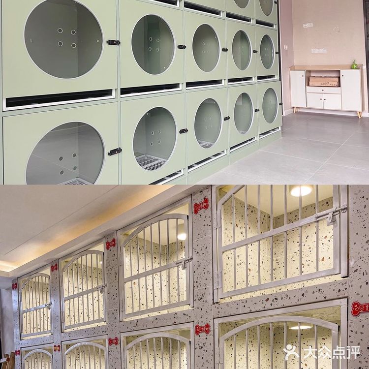 🦀️成都｜明星同款宠物店❗️毛孩子的快乐星球