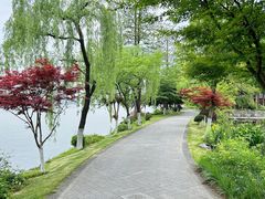 -浙江西子宾馆·牡丹厅