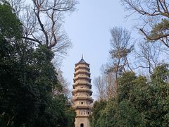 -灵谷景区