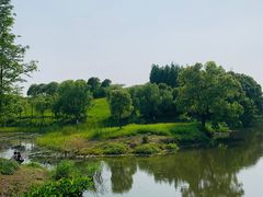 -贡湖湾湿地公园