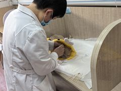 -北京观赏动物医院·24小时大型综合·猫专科·异宠专科