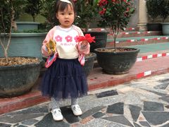 -八景休閒山莊  廣東十大名山莊