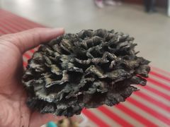 -双喜农庄·菌香园(安居家园店)