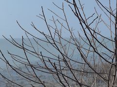 -东山风景区(洞庭东山)