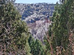 -北京西山国家森林公园