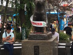 -涩谷全向十字路口