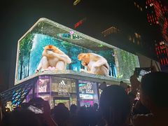 -徐妹串串香(春熙路店)