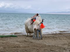 -青海湖国家重点风景名胜区