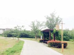 iphone_upload_pic-梁鸿国家湿地公园