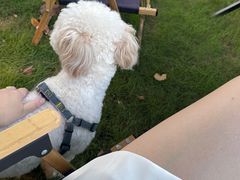 -J Create城市露营咖啡·简餐·宠物(上海动物园店)