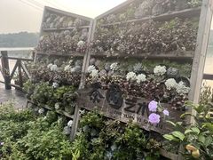 -天目湖山水园