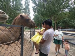 -长白岛森林公园