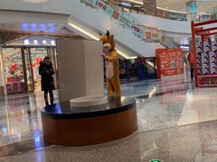 -金鹰国际购物中心(江都店)