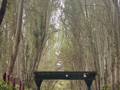 -艾提尕尔清真寺