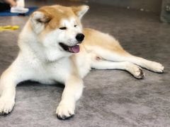-YCHL Studios健身工作室(市二宫店)