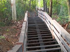 -水濂山森林公园