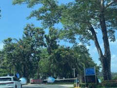 -海南分界洲岛旅游区