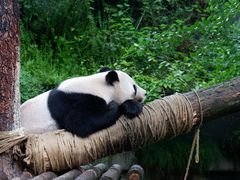 -安吉竹博园