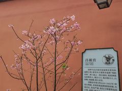 -乌山风景区