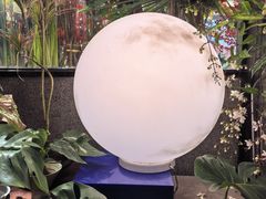 -瑞虹新天地月亮湾