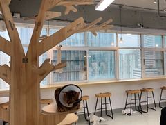 -Heymao猫咖.咖啡厅(东门店)