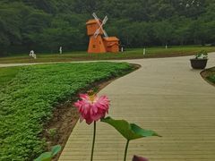 -苏州上方山国家森林公园