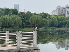 -后襄河公园