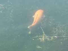 -小王府(什刹海店)