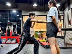 -极斗-IKMF马伽术·格斗运动学院(东直门店)