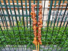 羊肉串-秦皇二林羊肉串(秦皇小巷店)