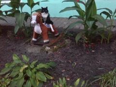 -BeauTea水仙(coco park店)