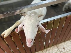 -上海大自然野生昆虫馆(东方明珠·爬宠昆虫探索中心)