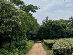 -虞山风景区