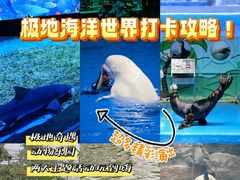 -石家庄极地海洋世界