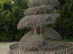 -苏州河梦清园环保主题公园