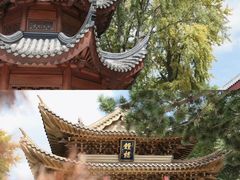 -上海东林寺(金山区)