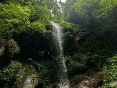-莫里热带雨林景区