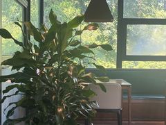 -树厨贵州菜(铜仁花果山店)