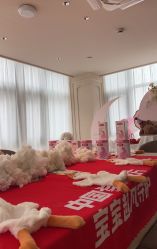 -艾薇朵朵全套房月子中心(江宁店)