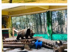 -杭州野生动物世界