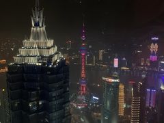 -The lounge 柏悦酒店大堂酒廊(上海环球金融中心店)