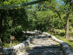 -阳台山自然风景区