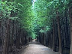 -捞渔河湿地公园