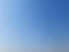 -东疆建设开发纪念公园