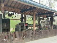 -合肥滨湖国家森林公园