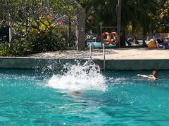 -三亚珠江南田温泉度假区