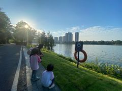 -美的鹭湖森林度假区